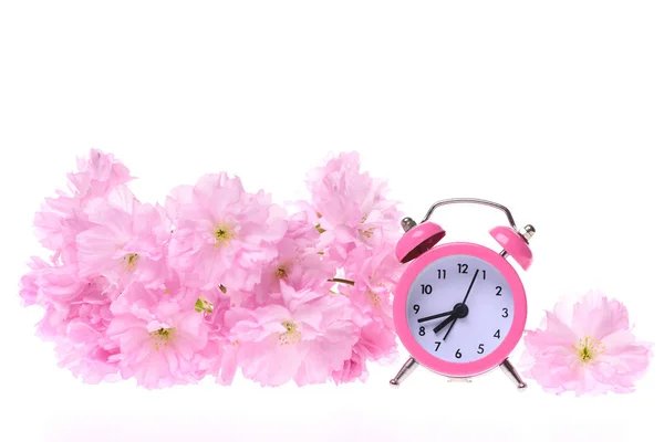 Sakura flowers on branch and pink vintage alarm clock — Stock Photo, Image