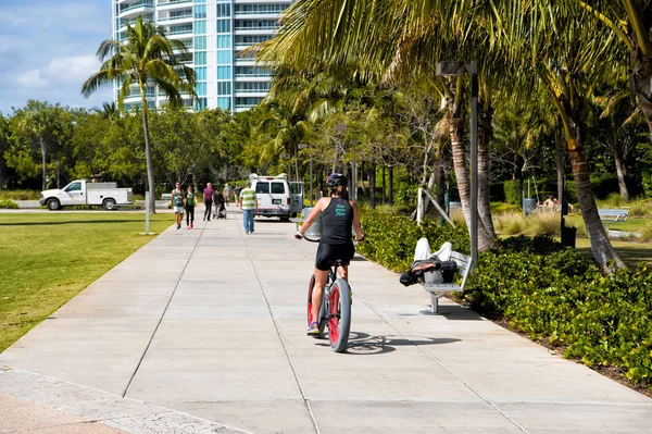 Майами. Южный пляж. Улица с пальмами — стоковое фото