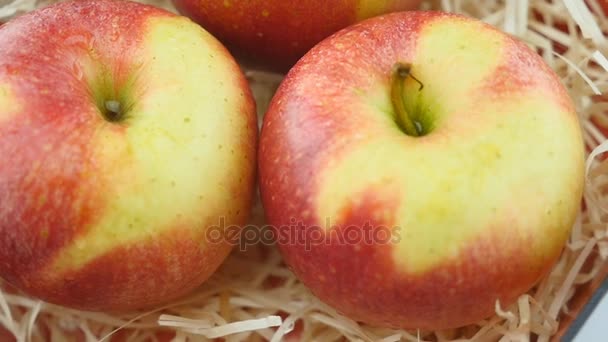 Ahşap üzerine elma dizi arka plan fişleri. Ağır çekim, 4k — Stok video