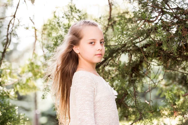 Retrato de uma linda menina princesa feliz — Fotografia de Stock