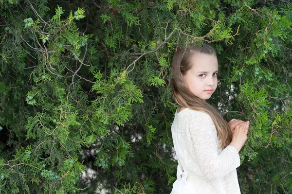 Küçük mutlu bir prenses kızın portresi. — Stok fotoğraf