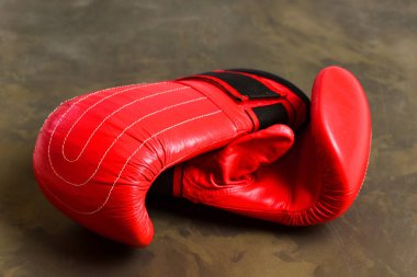 Deri boks spor giyim çifti. Eğitim ve fitness kavramı