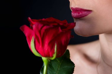kadın kırmızı dudaklar ve gül