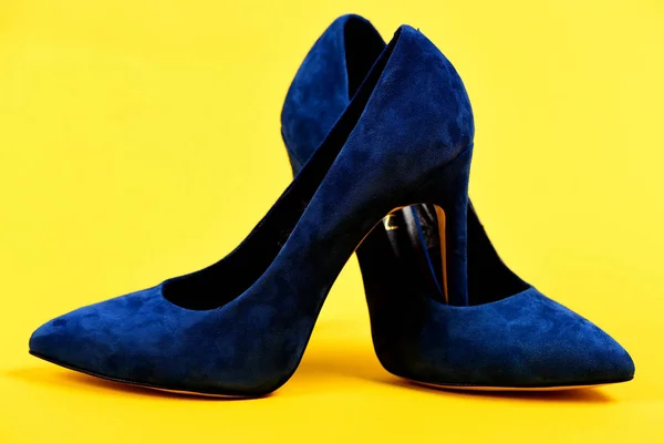 Обувь тёмно-синего цвета. Пара формальных женских туфель — стоковое фото