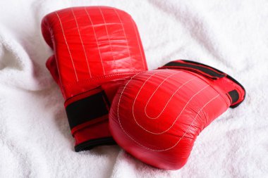 Boks eldiveni kırmızı renk ve siyah sahipleri