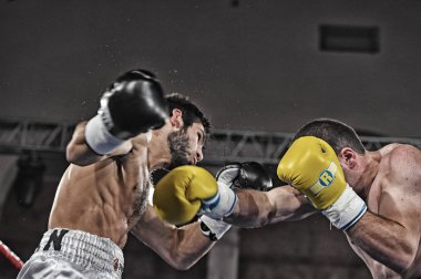 boksörler sıralaması için kavga sırasında halka