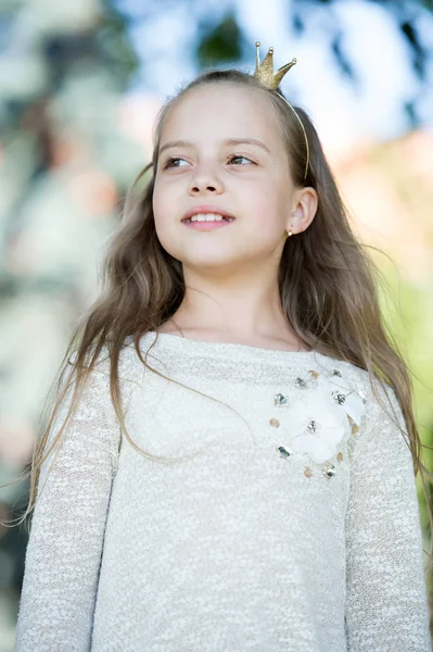 Retrato de uma linda menina princesa feliz — Fotografia de Stock