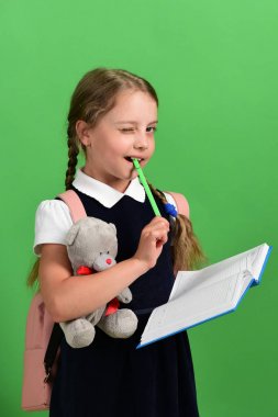 Geri okul ve eğitim kavramı. Oyuncak ayı kız tutar