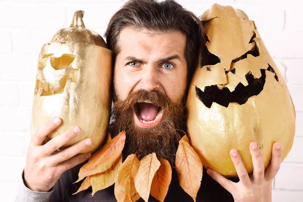 Hipster with leaves in beard — Stock Photo, Image