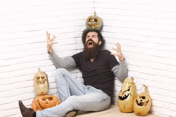 Hipster with golden pumpkins — Stock Photo, Image