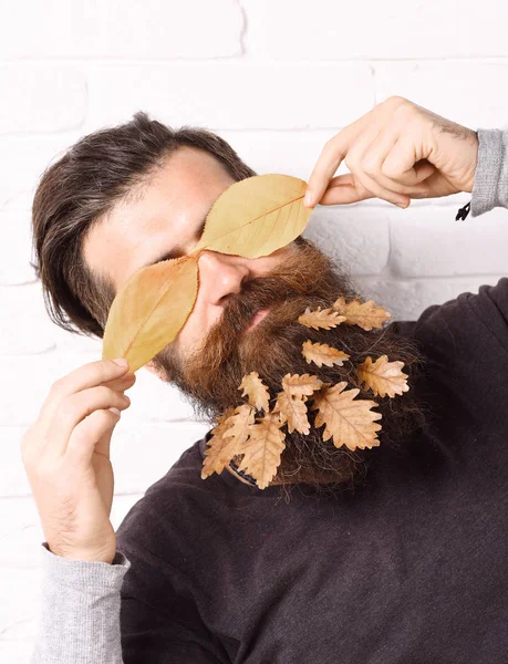 Hipster mit Blättern im Bart — Stockfoto