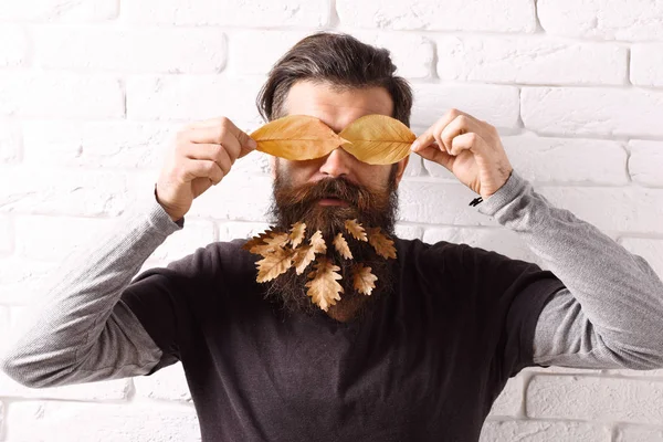 Hipster med löv i skägg — Stockfoto