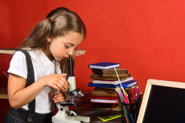 Criança com escola e material de laboratório no fundo da parede vermelha — Fotografia de Stock