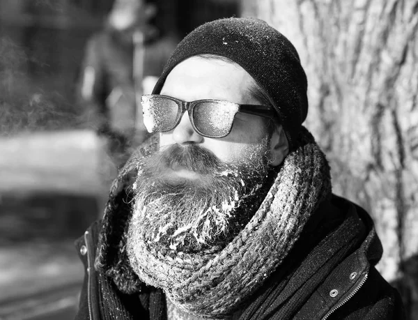木の近くのハンサムな髭の男 — ストック写真