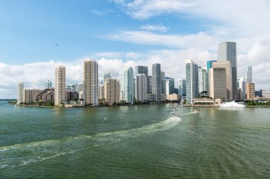 Miami manzarası gökdelen