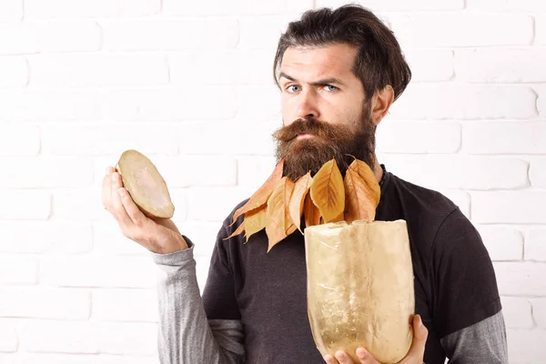 Hipster com folhas em barba — Fotografia de Stock