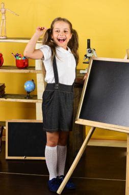 Geri okul ve eğitim kavramı. Kız sınıfta