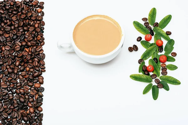 Taza de café con leche, hojas de café, bayas y frijoles —  Fotos de Stock