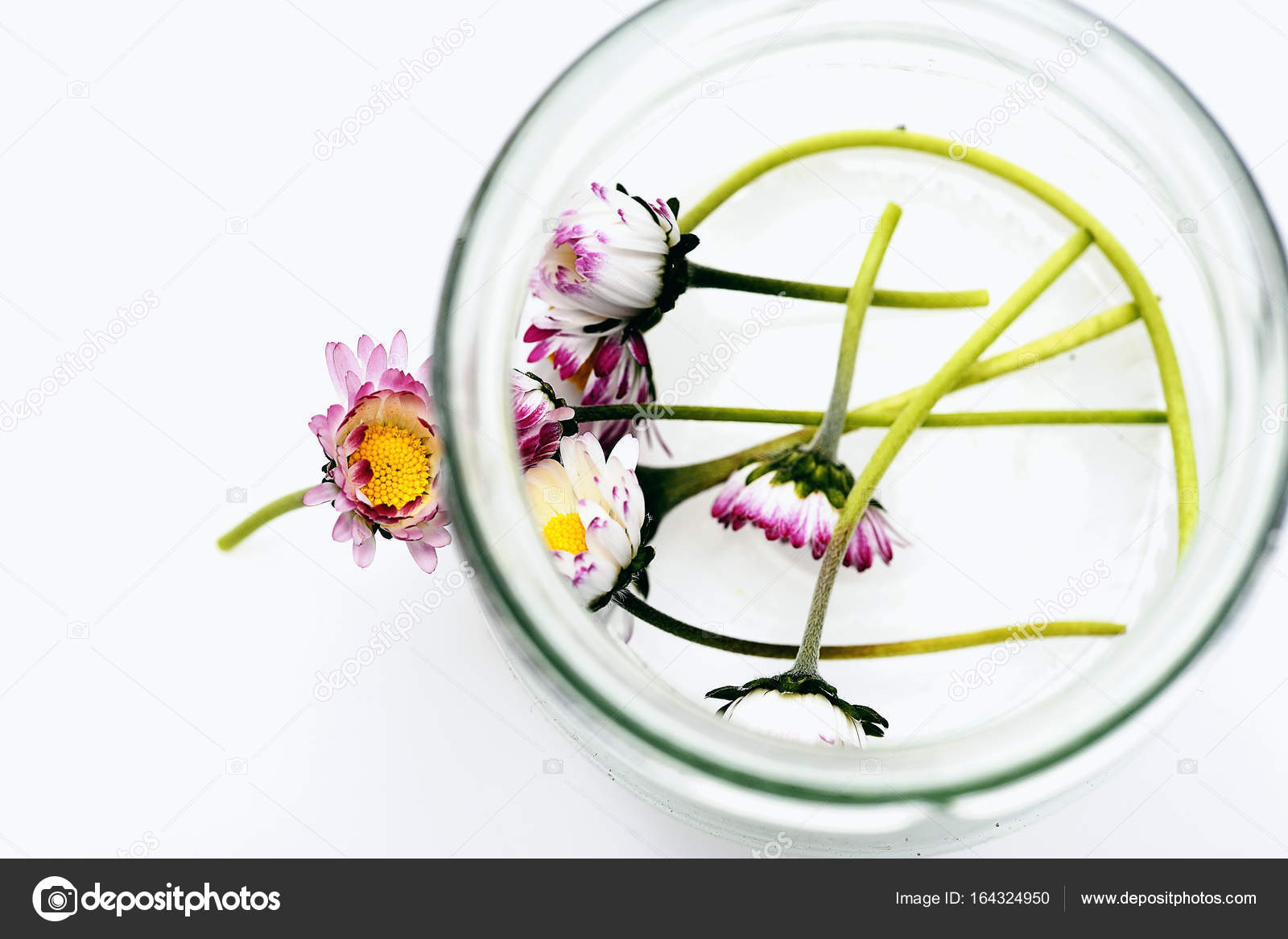 Top View On Light Tender Daisy Flowers Inside Transparent Vase