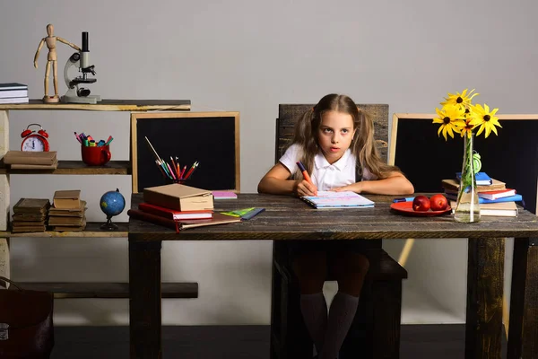 Material escolar e infantil sobre fundo cinzento — Fotografia de Stock