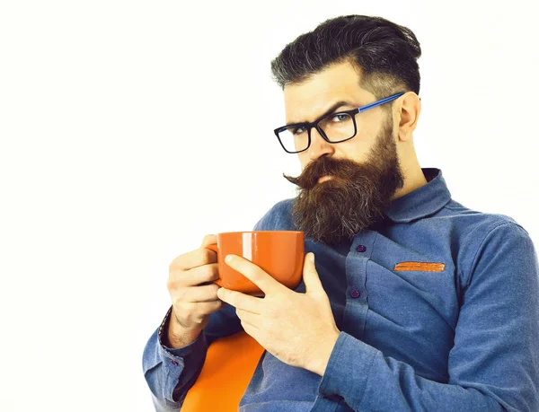 Sakallı adam, acımasız beyaz hipster ora tutan bıyıklı