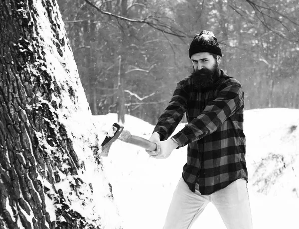 Hombre guapo leñador corta árbol — Foto de Stock