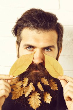 Sakallı bir hippi.