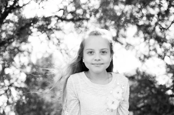 Portrait of a lovely little happy princess girl — Stock Photo, Image