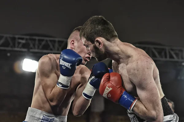 Boxeadores en el ring durante la lucha por los puntos de clasificación —  Fotos de Stock