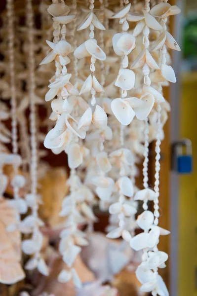 Collares de concha en venta en Key West, Estados Unidos — Foto de Stock