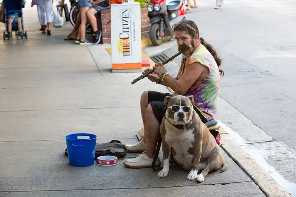 Sokak musian ya da flüt ABD'de köpekle oynayan adam — Stok fotoğraf