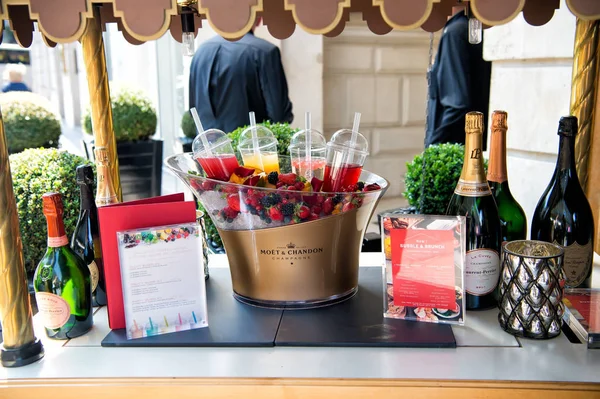 Menu, champagne bottles, fresh berries on ice and coctails — Stock Photo, Image
