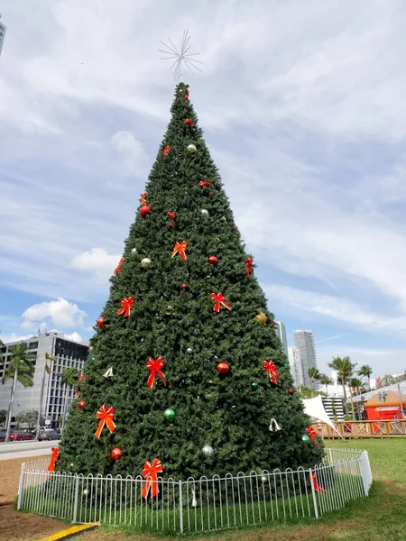 Bulutlu gökyüzü arka plan Noel ağacına Miami, ABD