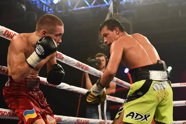 Kimliği belirsiz bir boksörler sıralaması için kavga sırasında halka