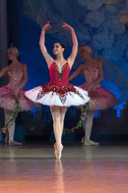 Bale dansçısı balerin bale sırasında Corsar