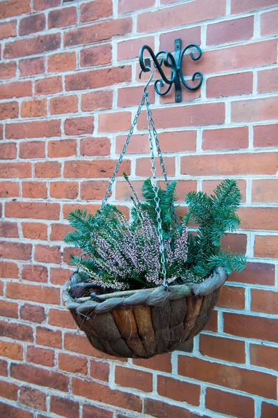 Cachepot ou pot de fleurs sur mur de briques rouges — Photo