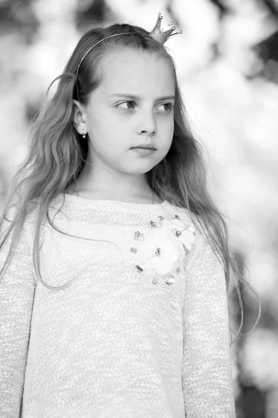 Portrét krásné malé šťastné princezny dívka — Stock fotografie