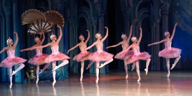 Bale dansçısı balerin bale sırasında Corsar