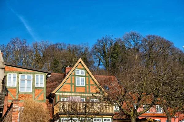 Houses of red bricks in village with bare trees — Stock Photo, Image