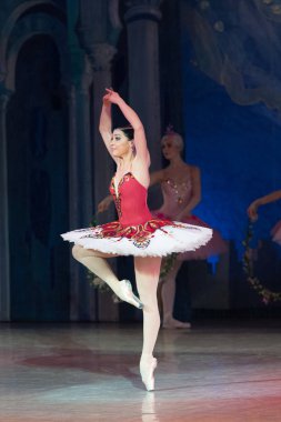 Bale dansçısı balerin bale sırasında Corsar