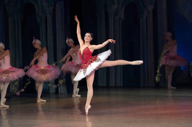 Bale dansçısı balerin bale sırasında Corsar