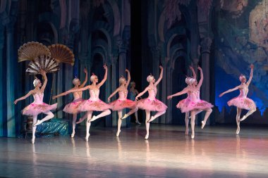 Bale dansçısı balerin bale sırasında Corsar