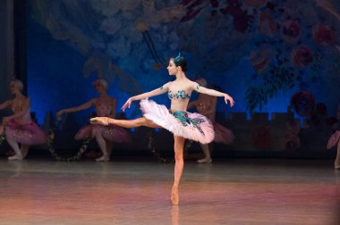 Bale dansçısı Katerina Kukhar sırasında Corsar bale