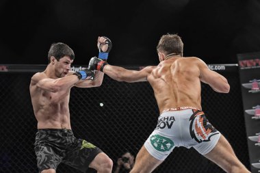 Şu yüzüğe MMA fighters mücadele