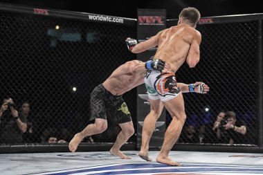 Şu yüzüğe MMA fighters mücadele