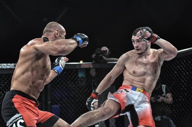 Şu yüzüğe MMA fighters mücadele