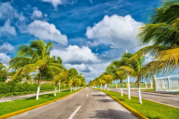 Carretera exótica con palmeras verdes en un clima soleado y ventoso — Foto de Stock