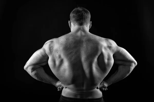 Homem ou desportista com corpo muscular e costas — Fotografia de Stock