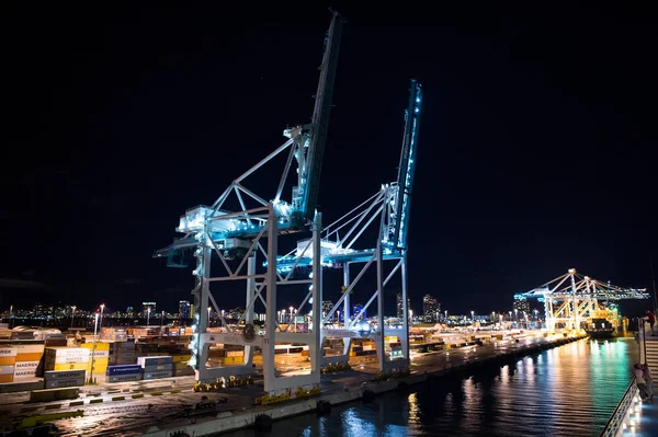 Puerto marítimo con grúas, astillero iluminado de noche, Miami, EE.UU. — Foto de Stock