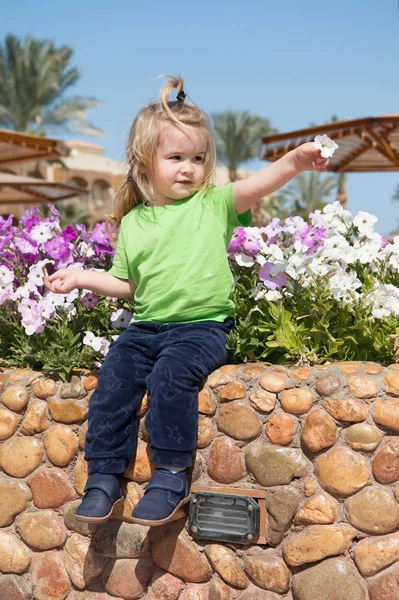 Germination Growth Childhood Boy Sit Stone Curb Floral Environment Future — Stock Photo, Image